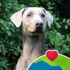 Jane Forey - @jane.forey - TikTok