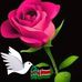 Jane Forest - Facebook