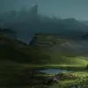 Jane Forest - @janneforest - TikTok