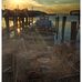 Jane Forester Park - Facebook
