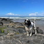 Jane Forster - @janeforster1968 - Instagram