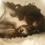 Jane Forster - @janeforster666 - Instagram