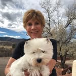 Jane Forster - @bjforster - Instagram