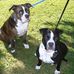 Jane Fortier - Facebook