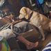 Jane Frame - Facebook
