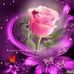 Jane Frantz - Facebook