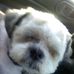 Jane Freund - Facebook