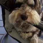 Jane Freund - @freund.jane - Instagram