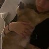 emily - @emilyjanefriedrich - TikTok