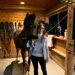 Jane Frisch - @janefrisch - Instagram