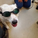 Jane Lambeth Fulcher - @fulcher5264 - Instagram
