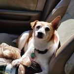 Jane Lambeth Fulcher - @jane_lambeth_fulcher - Instagram