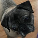 Janet Fulcher - @janet.fulcher - Instagram