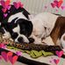 Jane Fulton - Facebook