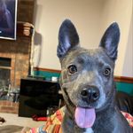 Kiki Jane Fulton - @mypalkiki - Instagram
