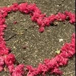 Jane Gaffney - @geinaj23 - Instagram