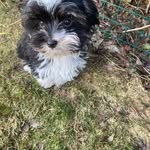 Jane Gaffney - @jane.gaffney2 - Instagram
