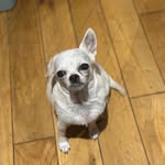 Jane Gaffney - @jane.gaffney27 - Instagram