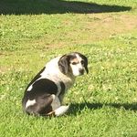 Barbara Jane Galvin Burns - @galvinburnsbarbara - Instagram