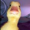 Jane gamez - @jane_game8 - TikTok