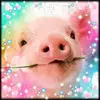Janette Gass - @janettegass95 - TikTok