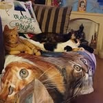 Tara Jane Gatt - @tara.gatt - Instagram