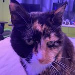 Jane - @jane.gaular - Instagram