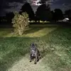 Jane Gavin - @jane.gavin5 - TikTok
