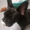 Nina Jane Gavin - @nina.jane.gavin - TikTok
