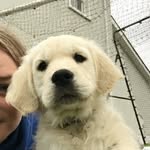 Jane Geraghty - @janegeraghty23 - Instagram