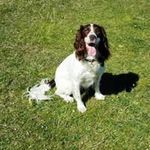 Jane Gerdes - @janegerdes58 - Instagram