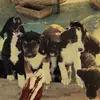 Jane Gilbert - @jane.gilbert41 - TikTok