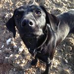 Jane Gilbert - @janegilbert62 - Instagram