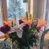 janegilbertson3 - @janegilbertson3 - TikTok