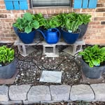 Jane Crupper Gilliam - @janesctmom - Instagram