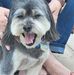 Jane Gingerich - Facebook
