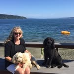 Jane Gingrich - @jane.doodlemom - Instagram