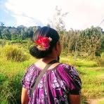 Gelher Jane Wii - Facebook