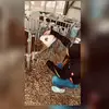 Jana♡ - @janagoeller0 - TikTok
