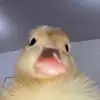 Jan.goellner - @jan.goellner - TikTok