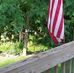 Jane Wallace Goins - Facebook