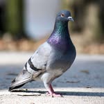 Jane Goldsmith - @janegoldsmith13 - Instagram