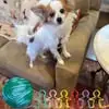Janet Goldstein - @janet.goldstein - TikTok