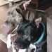 Jayne Goldstein - Facebook