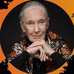 Dr. Jane Goodall - @janegoodalluk - Instagram