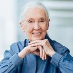 Dr. Jane Goodall - @janegoodallinst - Instagram