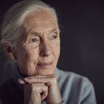 Jane Goodall Institute 🇨🇦 - @janegoodallcan - Instagram