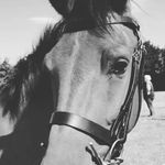 Jane Goodman - @hijo99 - Instagram