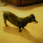 Jane Goodman - @goodman401 - Instagram