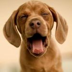 Janet Goolsby Owen - @janetowen5477 - Instagram